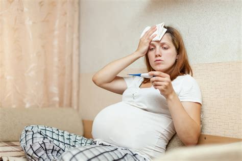 febre na gravidez